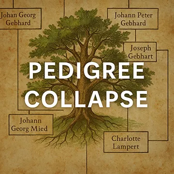 Pedigree collapse
